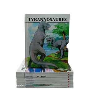 Vintage 80s  Dinosaur Hardcover  Triceratops Tyrannosaurus‎ French 1981